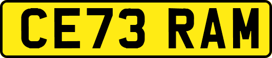 CE73RAM