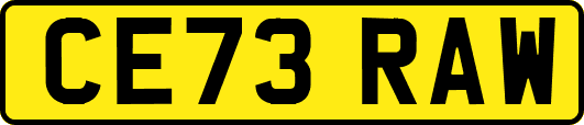 CE73RAW