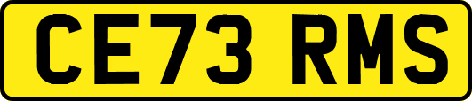 CE73RMS
