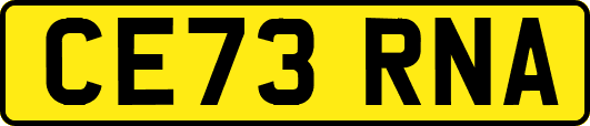 CE73RNA