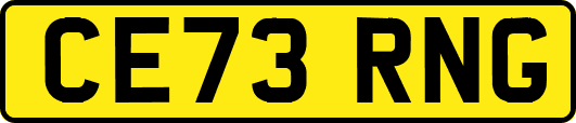 CE73RNG
