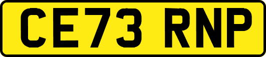 CE73RNP
