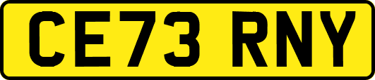 CE73RNY