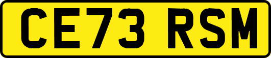 CE73RSM