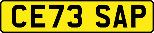 CE73SAP