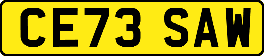 CE73SAW