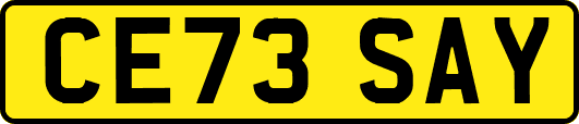 CE73SAY