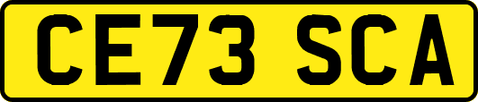 CE73SCA