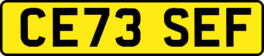 CE73SEF
