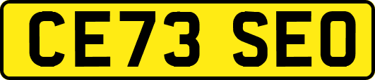 CE73SEO