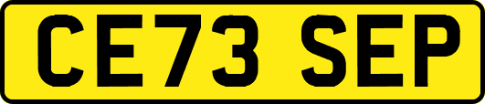 CE73SEP