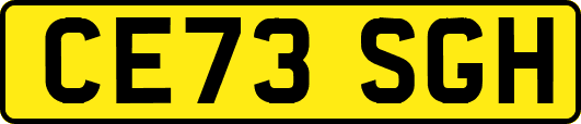CE73SGH