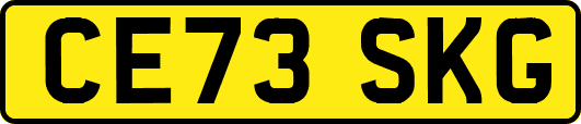 CE73SKG