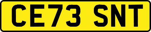 CE73SNT