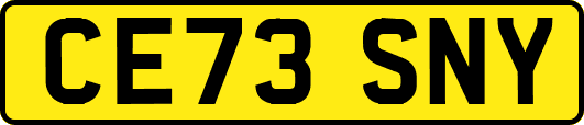 CE73SNY