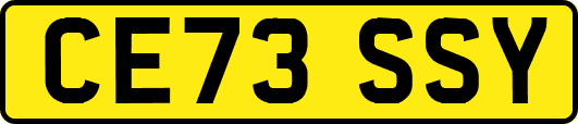 CE73SSY