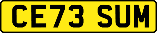CE73SUM