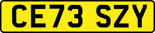 CE73SZY