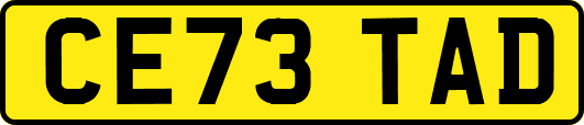 CE73TAD