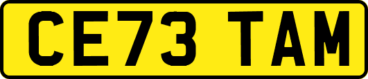 CE73TAM