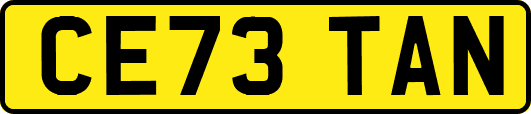 CE73TAN