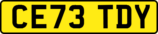 CE73TDY
