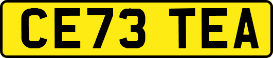 CE73TEA