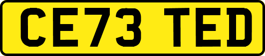 CE73TED