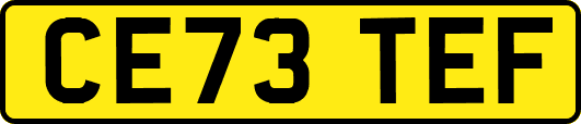 CE73TEF