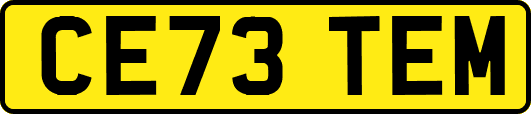 CE73TEM