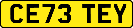 CE73TEY