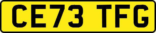 CE73TFG