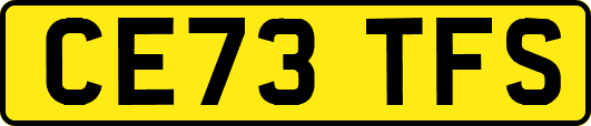 CE73TFS