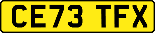 CE73TFX