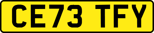 CE73TFY