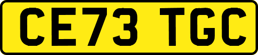 CE73TGC