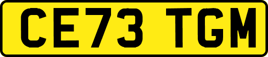 CE73TGM