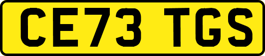 CE73TGS