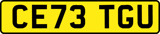 CE73TGU