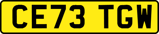 CE73TGW