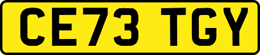 CE73TGY