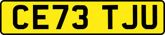 CE73TJU