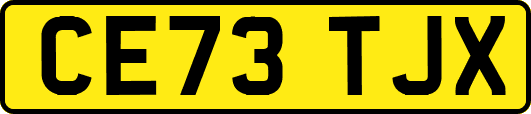 CE73TJX