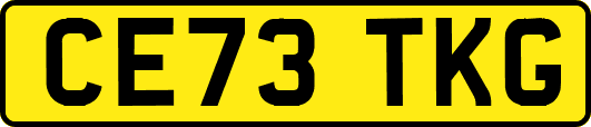 CE73TKG