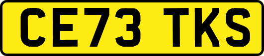 CE73TKS