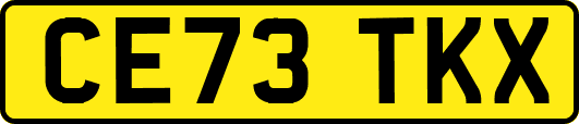 CE73TKX