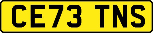 CE73TNS