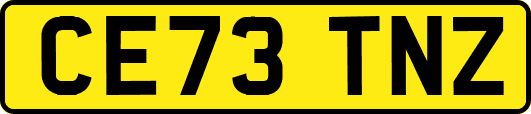 CE73TNZ