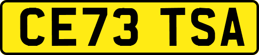 CE73TSA