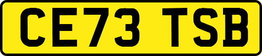 CE73TSB